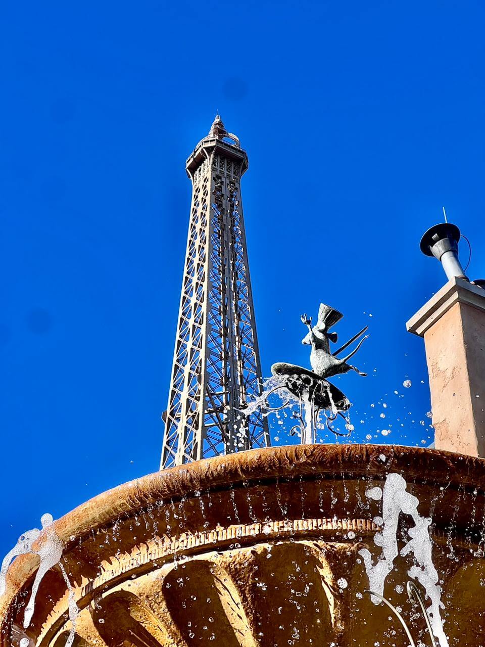 PHOTO-2026-02-06-11-11-02(1)