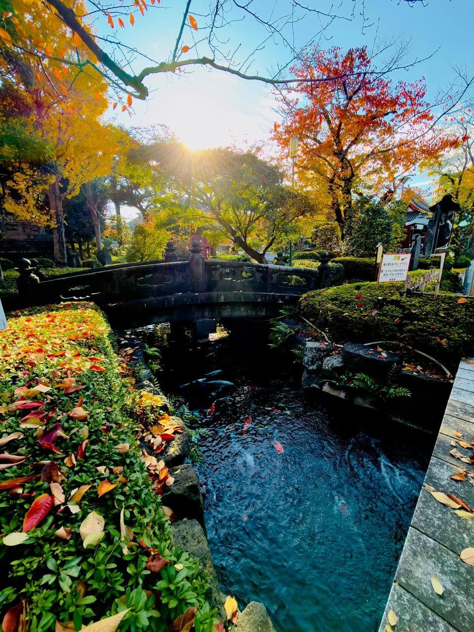 PHOTO-2026-02-06-11-11-02(11)