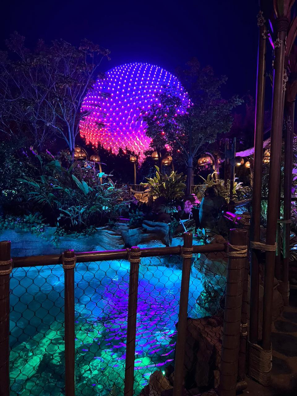 PHOTO-2026-02-06-11-11-02(2)