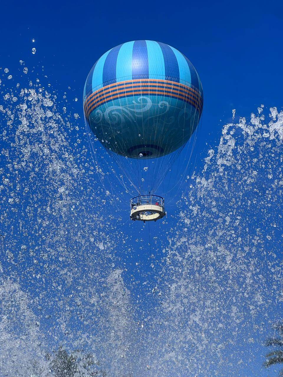 PHOTO-2026-02-06-11-11-02(7)