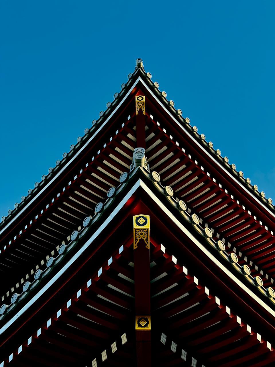 PHOTO-2026-02-06-11-11-02(9)